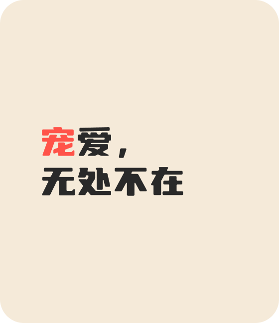 nangong28·(中国区)官方宠物，无处不在